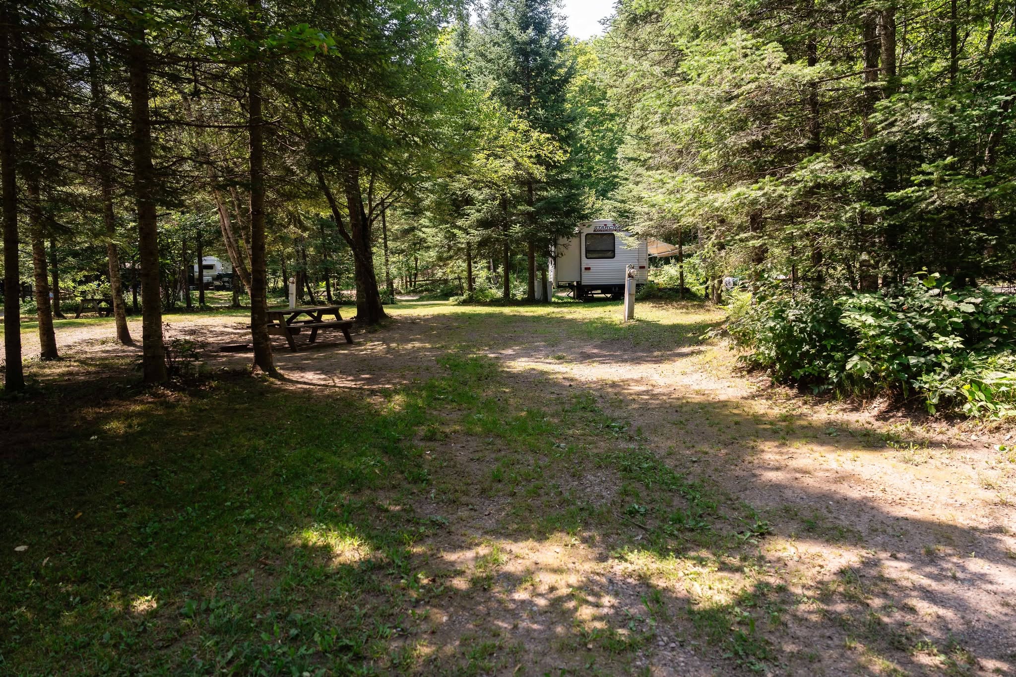 A shaded RV campsite among the trees at the campground
