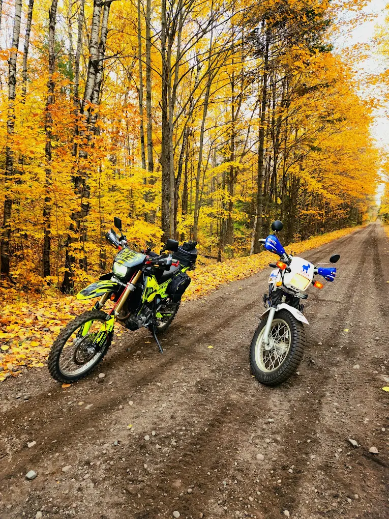 Two dual-sport motorcycles parked on an autumn forest road