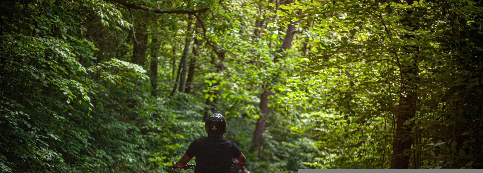 ATV riders on a wooded regional trail